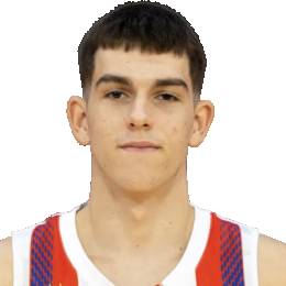 Novak Bjelica