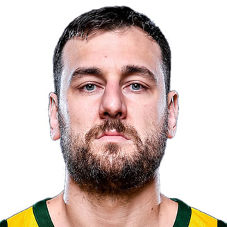 Andrew Bogut