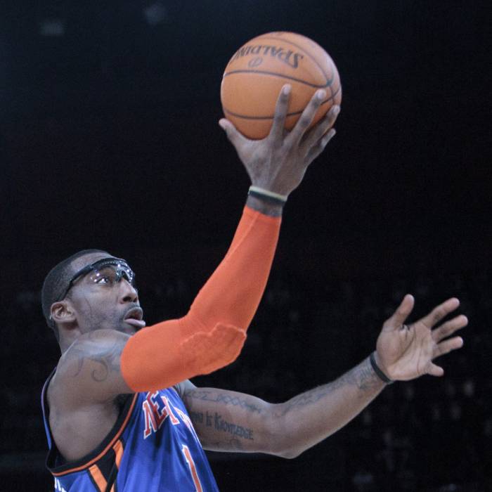 Photo of Amar'e Stoudemire, 2010-2011 season