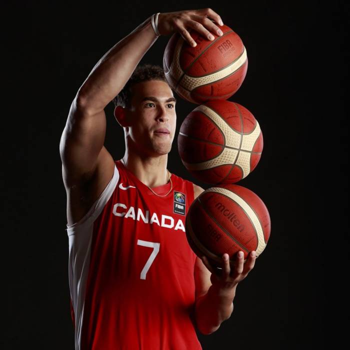 Photo de Dwight Powell, saison 2021-2022